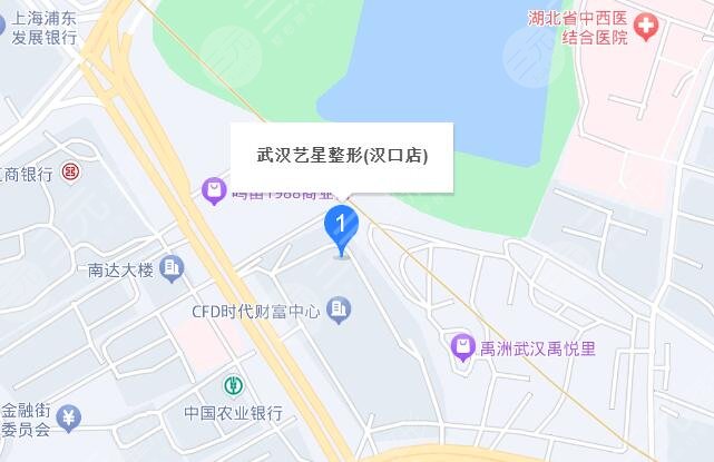 武漢藝星地址