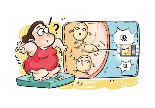 武漢顏范天美鄭洋簡介